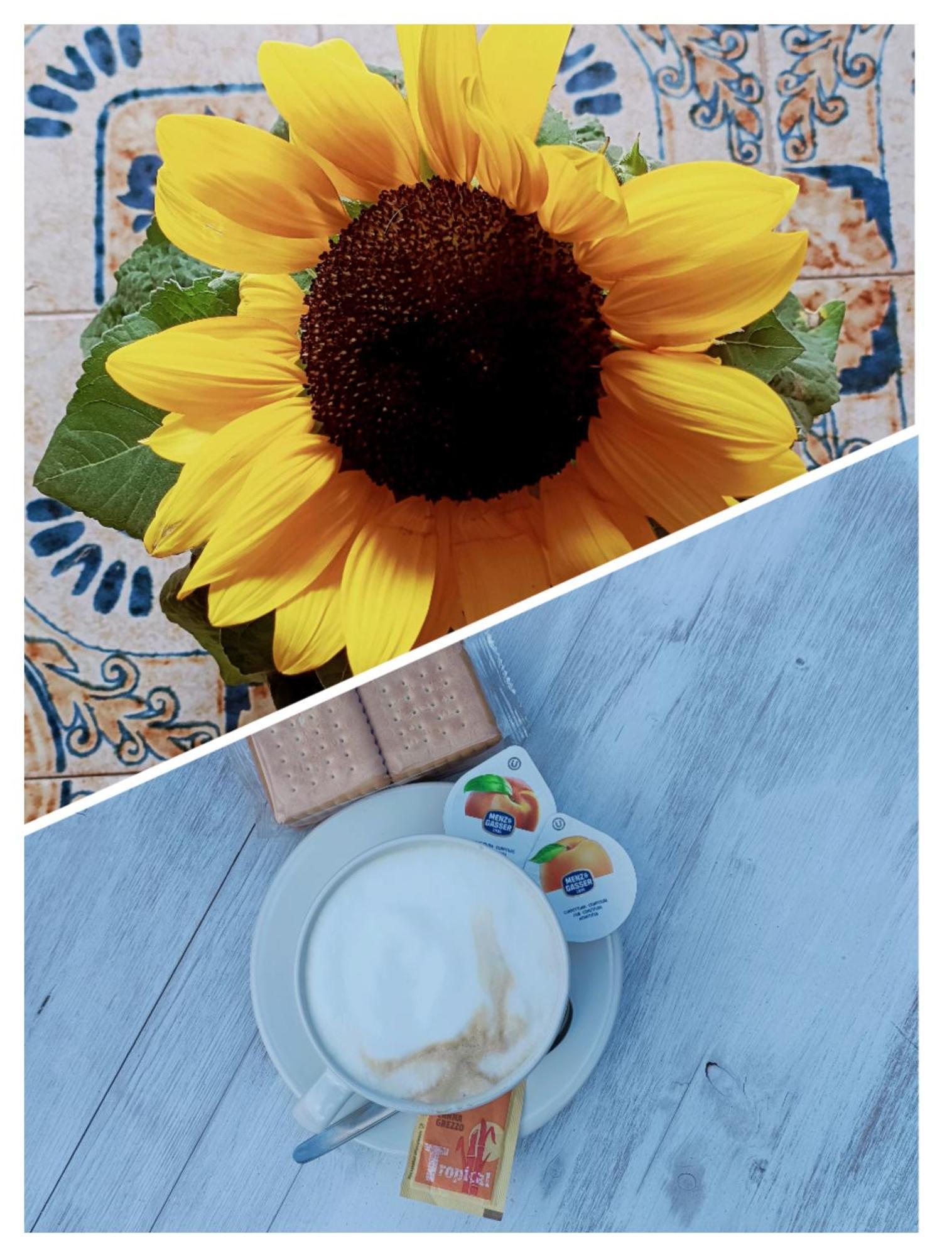 B&B Il Girasole Finale Ligure Εξωτερικό φωτογραφία